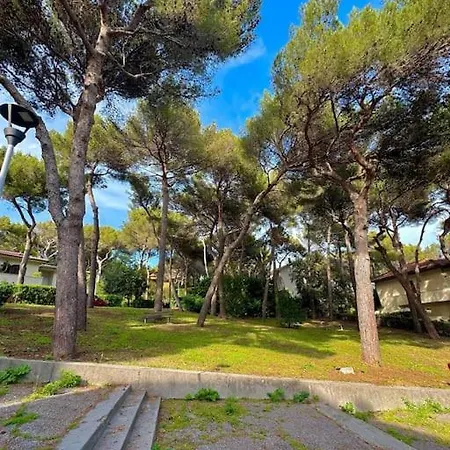 Profumo Di Mare Castiglioncello