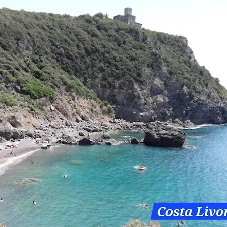 Apartment Profumo Di Mare Tirrenia